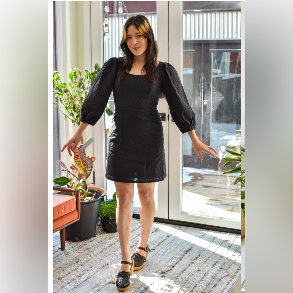 Birds of North America Hummingbird dress black